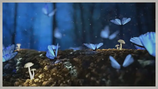 Video thumbnail for Why Are Mushrooms Important to the Food Chain?