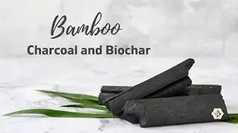 Video thumbnail for Bamboo and Biochar