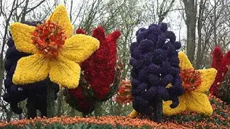 Video thumbnail for Blumencorso im Bollenstreek in Holland