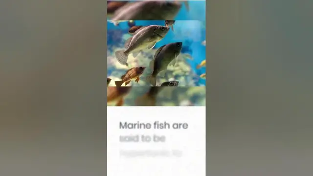 'Video thumbnail for Do Fish Get Thirsty? #shorts'