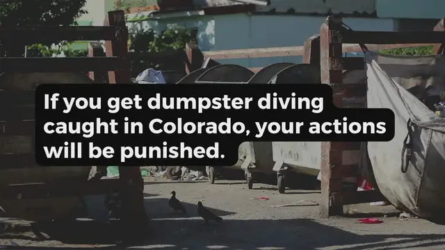 'Video thumbnail for Dumpster Diving in Colorado'
