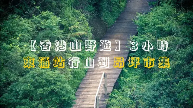 Video thumbnail for 【香港山野遊】3小時東涌站行山到昂坪市集｜纜車🚡下打卡｜昂坪棧道｜昂坪360救援徑