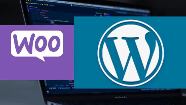 Video thumbnail for How I made Selling Digital Good Downloadable Ecommerce Website in Wordpress Using Woocommerce Plugin