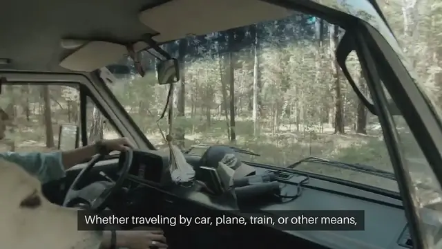 Video thumbnail for Training Pets To Travel