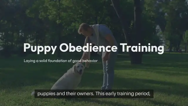 Video thumbnail for Puppy Obedience Training