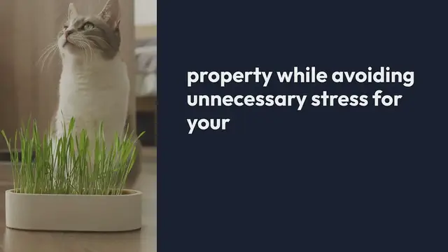 Video thumbnail for Pet Safe Security Practices for Home