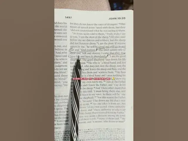 Video thumbnail for The thief #johnselephilip