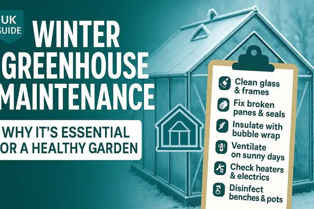 'Video thumbnail for Winter Greenhouse Maintenance Why It's Essential for a Healthy Garden'