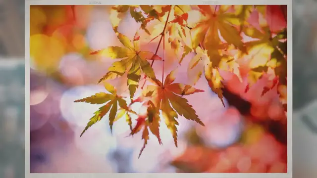 Video thumbnail for Are Canadian Dimes Magnetic?