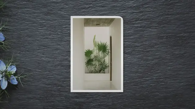 'Video thumbnail for Plants in the Hallway and Landing: A Guide to Elevating Your Home’s Style'