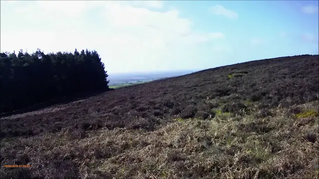 Video thumbnail for Cocker Spaniel Hunting Quartering Training with Nimrod