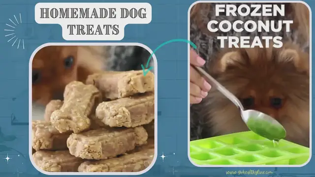 Video thumbnail for Homemade Dog Treats