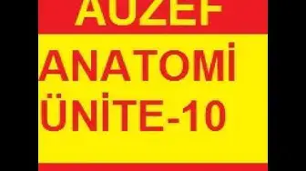 'Video thumbnail for Anatomi Ünite 10 Online Test Auzef vize final– Öğrenme Yõnetim Sistemi Google Chrome 2020 01 29 09'