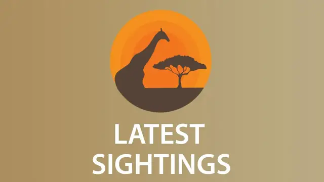 Video thumbnail for Latest Sightings - Watch the Latest, Exclusive and Most Incredible Wildlife Footage