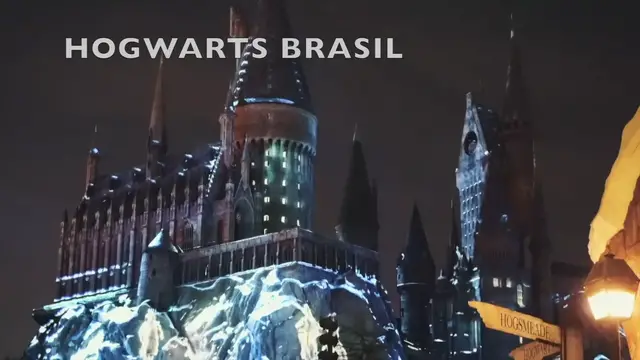 Video thumbnail for The Magic of Christmas at Hogwarts Castle Show Completo