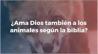 Video thumbnail for ¿Ama dios también a los animales?