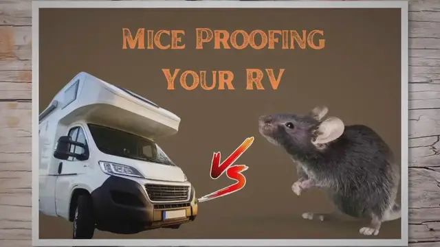 'Video thumbnail for Best Ways To Keep Mice Out of Your RV'