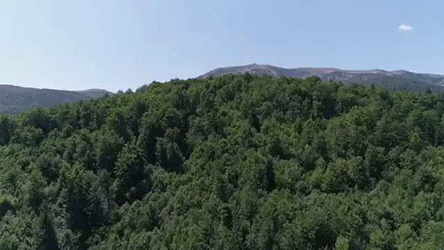 Video thumbnail for George Lopez: The Man, The Myth, The Moustache