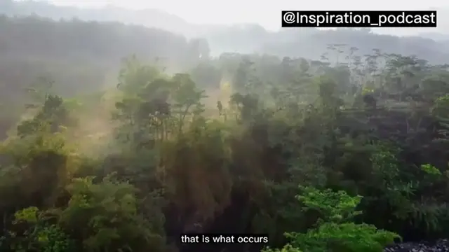 Video thumbnail for How to Let Go Of The Past And Start Living In The Present Moment (Nature view) _ Inspiration Podcast