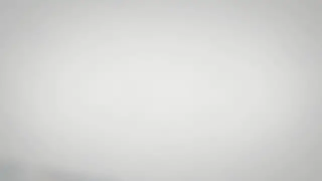 Video thumbnail for The Story of the Sandpiper-Unclear!