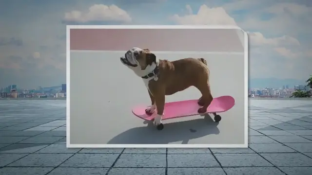 Video thumbnail for Best Skateboards For Dogs and Bulldogs!