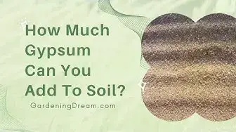 Video thumbnail for How Much Gypsum Can You Add To Soil?