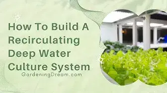 Video thumbnail for How To Build A Recirculating Deep Water Culture System