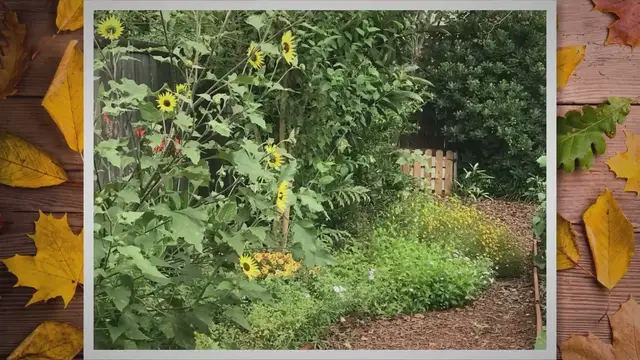 Video thumbnail for A Year of Gardening In Central Texas