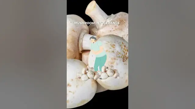 Video thumbnail for The Important Difference Between Mushroom Intolerance and Mushroom Allergy #mushroom