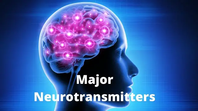 Video thumbnail for What Are the 7 Major Neurotransmitters and Their Role in Diseases