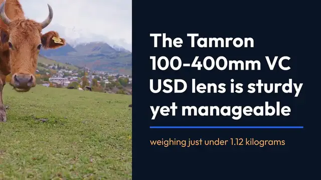 Video thumbnail for An In-Depth Examination of Tamron 100-400mm VC USD Image Quality