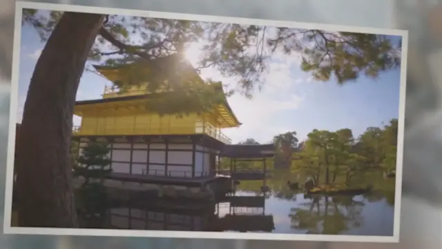 Video thumbnail for Discover Your Ikigai: The Japanese Secret to Happiness and Fulfillment"