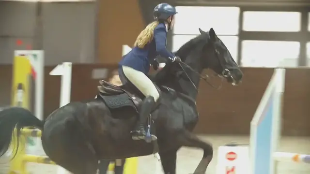 Video thumbnail for Unleashing the Power of Equine Athletes: Unveiling the Fascinating World of Equestrian Sports