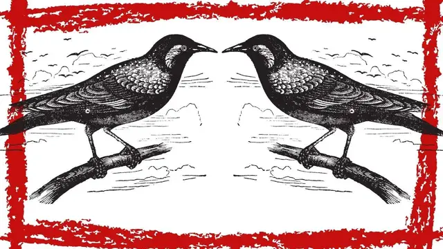 Video thumbnail for 10 Minutes European Starling Calls