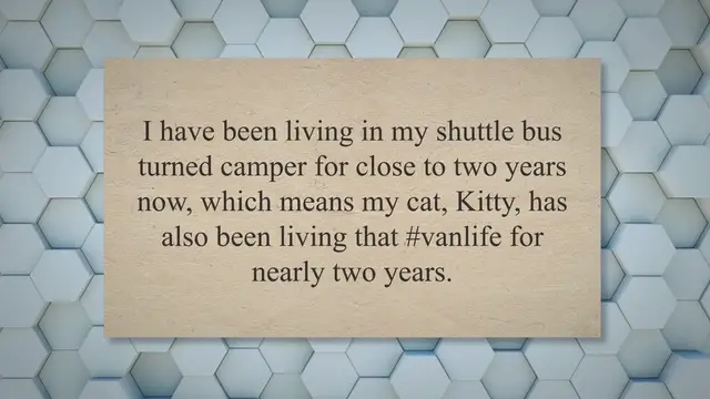 Video thumbnail for Van Life with a Cat: Complete with all the Cute Cat Photos