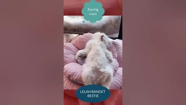 'Video thumbnail for LELAH BANGET BESTIE #shorts'