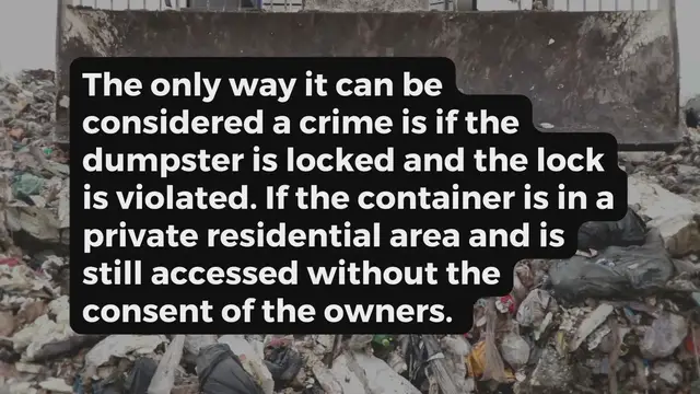 Video thumbnail for Dumpster Diving in Florida