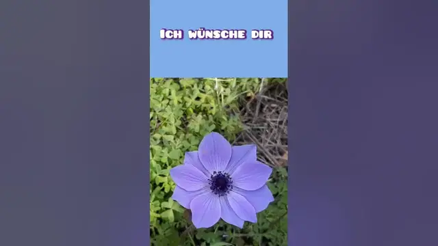 Video thumbnail for #wochenende #wochenendgrüße #grußvideo #gruß #grüße