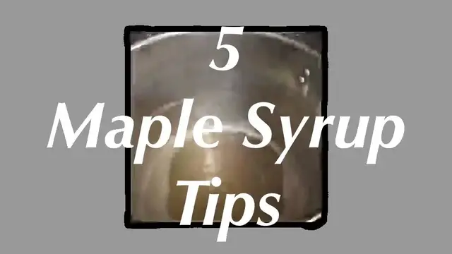 Video thumbnail for 5 Maple Syrup Tips - Experimental Homesteader Live Stream