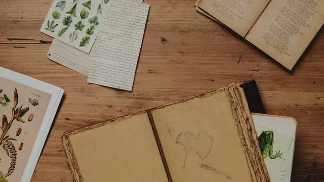 'Video thumbnail for Top 25 Best Learning Apps For Adults '