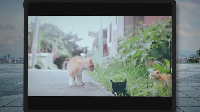 Video thumbnail for How To Unclog Cat Litter From a Toilet?