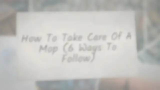 Video thumbnail for How To Take Care of a Mop (6 Ways to follow)