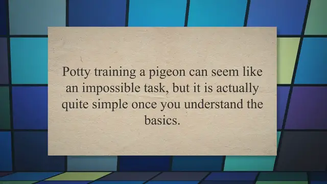 Video thumbnail for Uncovering the Secrets of Potty Training Pigeons: A Step-by-Step Guide