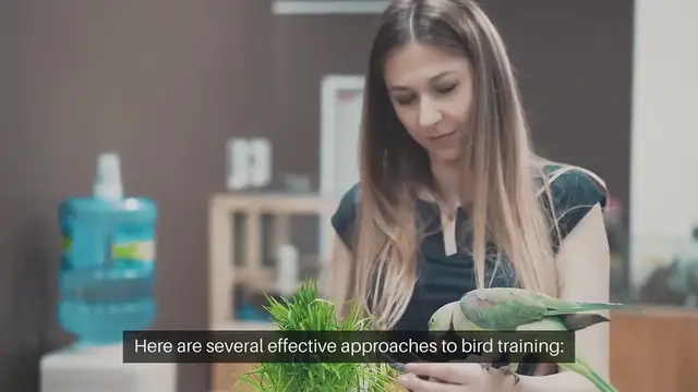 Video thumbnail for Bird Training Methods