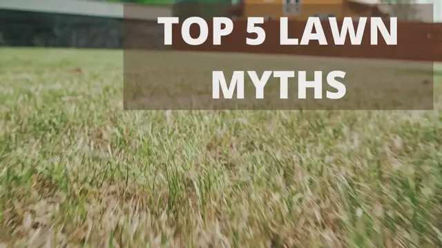 'Video thumbnail for Top 5 Lawn Myths'