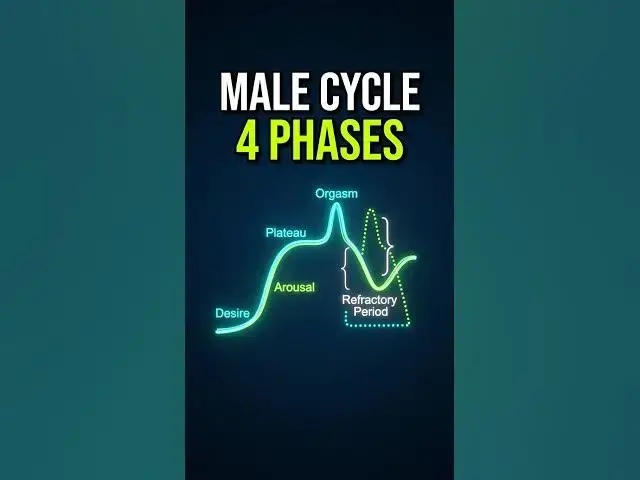 Video thumbnail for 03 Breaking down the male sexual response cycle 📉 #menshealth #education #sexualhealth