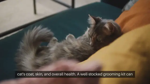 Video thumbnail for Cat Grooming Tools Checklist