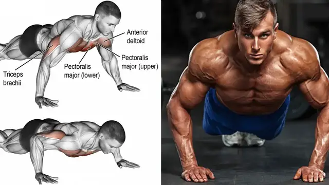 Video thumbnail for Most Effective Push-Up Variations: : Beginner to Advanced