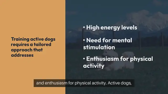Video thumbnail for Training Active Dogs