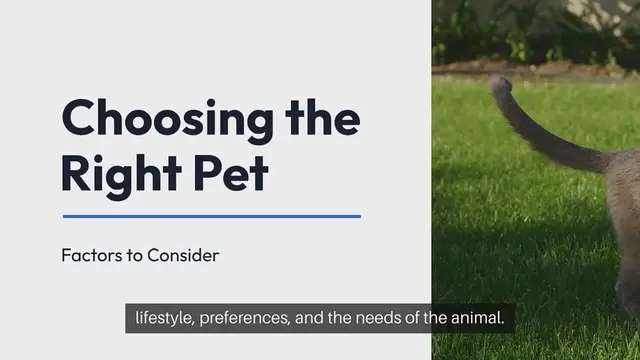 Video thumbnail for How to choose the right pet for your family